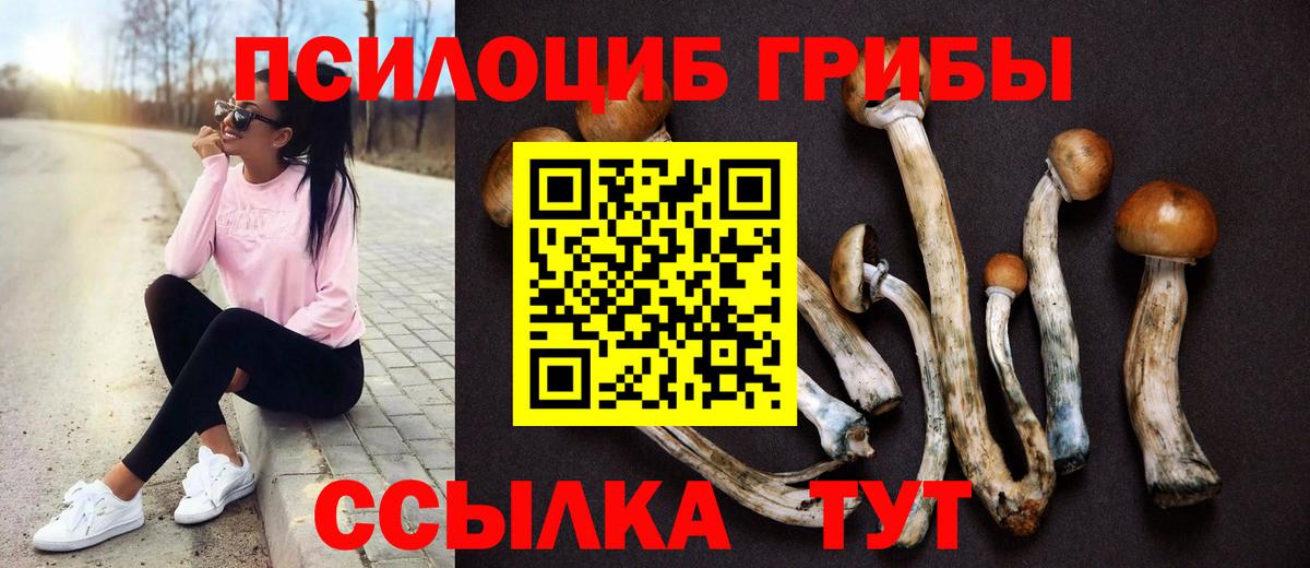 Псилоцибиновые грибы мицелий  даркнет сайт  Нижневартовск  Вход с VPN 