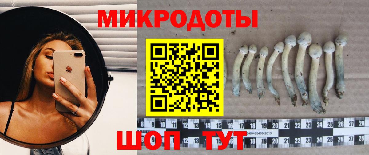 Галлюциногенные грибы Cubensis Нижневартовск